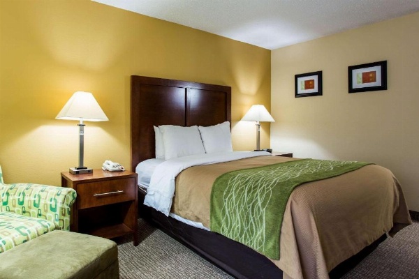 Comfort Inn Columbia - Bush River image 11