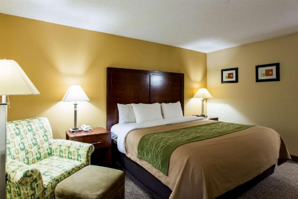 Comfort Inn Columbia - Bush River image 12