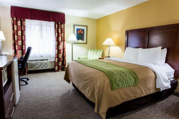 Comfort Inn Columbia - Bush River image 21