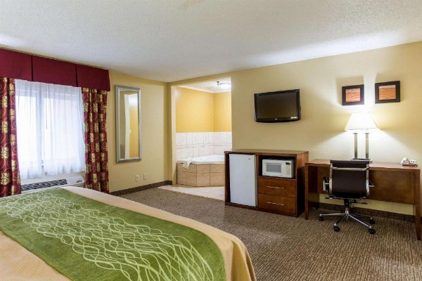 Comfort Inn Columbia - Bush River image 23