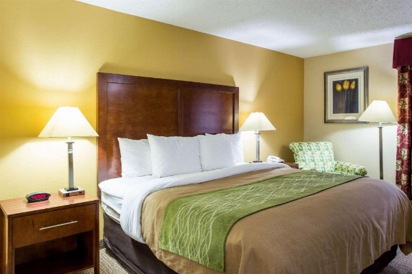 Comfort Inn Columbia - Bush River image 29