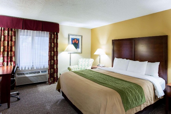 Comfort Inn Columbia - Bush River image 6