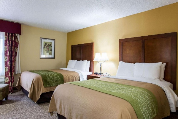 Comfort Inn Columbia - Bush River image 7