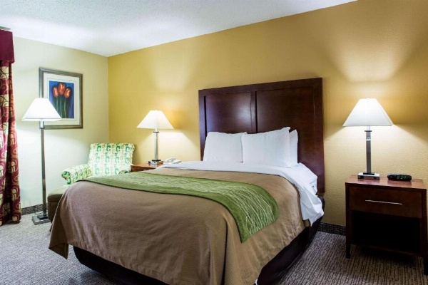 Comfort Inn Columbia - Bush River image 8