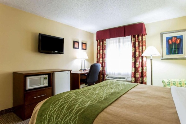 Comfort Inn Columbia - Bush River image 9